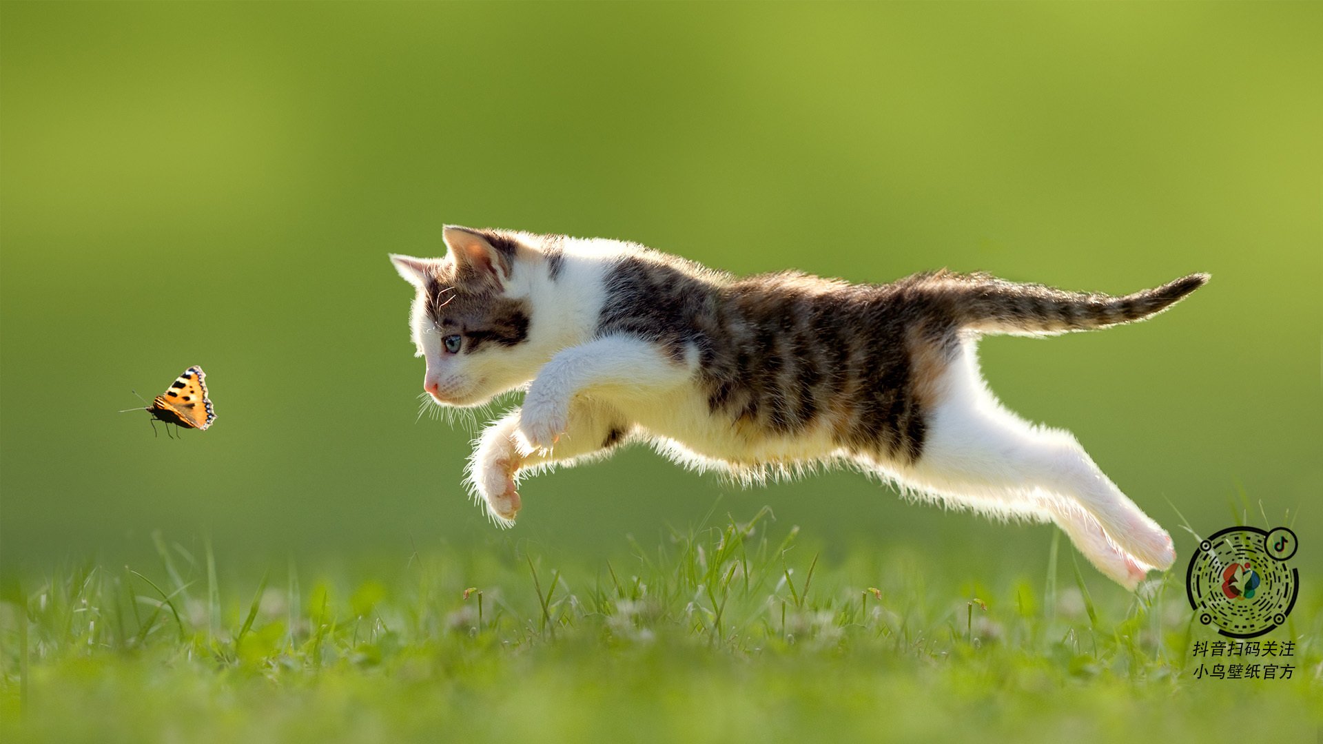 意甲球队通过心理测试提升球员临场决策能力